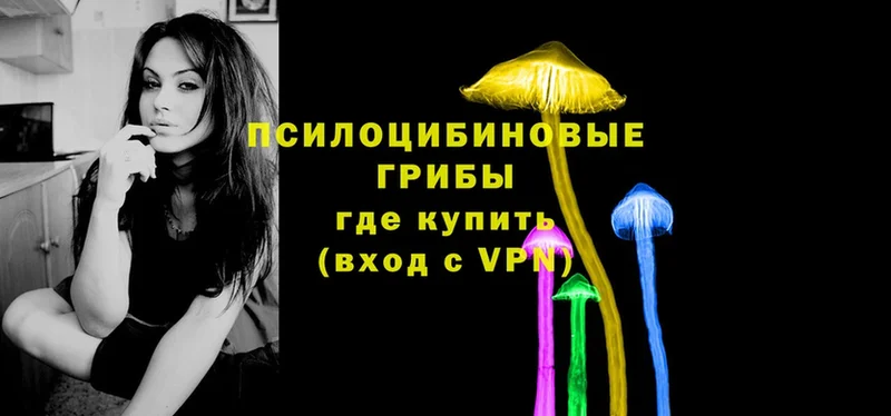 MEGA зеркало  Магадан  Псилоцибиновые грибы Psilocybe 